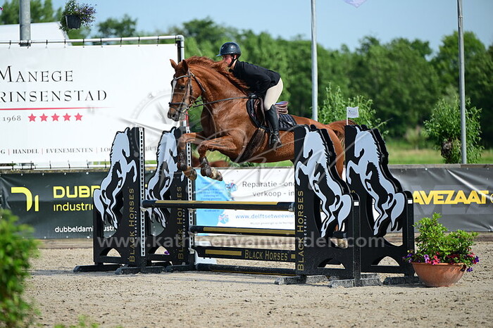 Sterre de Wijs - Umarilla v.d. DenD Hoeve