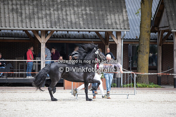 15. Tsjimke fan it Jaachpaad