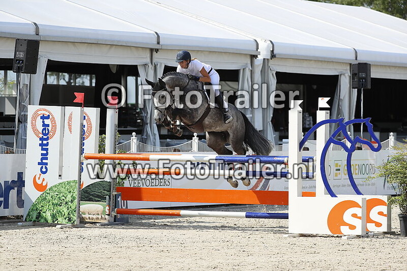 marleen van der burg