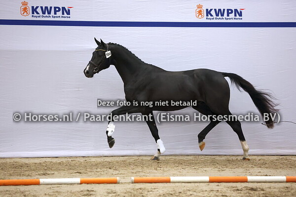 504 (Secret x Lord Leatherdale)