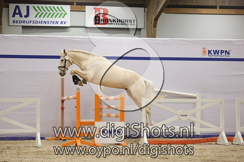 Emeralds Golden Star