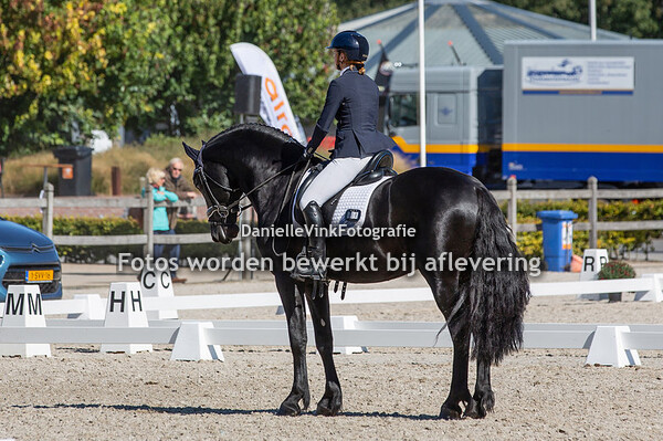 Bineke Pietersen - Wyberen