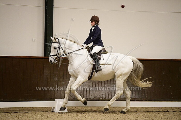 Nieki van den Akker - Balou