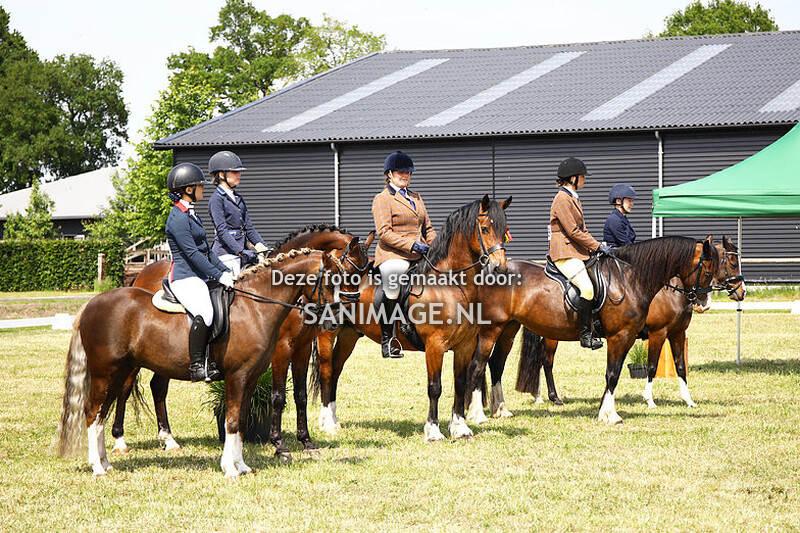 NWPCS Mega Welsh Event Wezep 04-06-2022 Sfeer