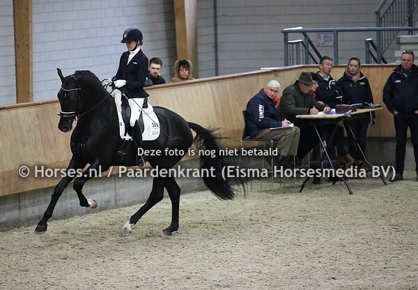 191126 Zadelpresentatie en herkansing Dressuurhengsten 2019