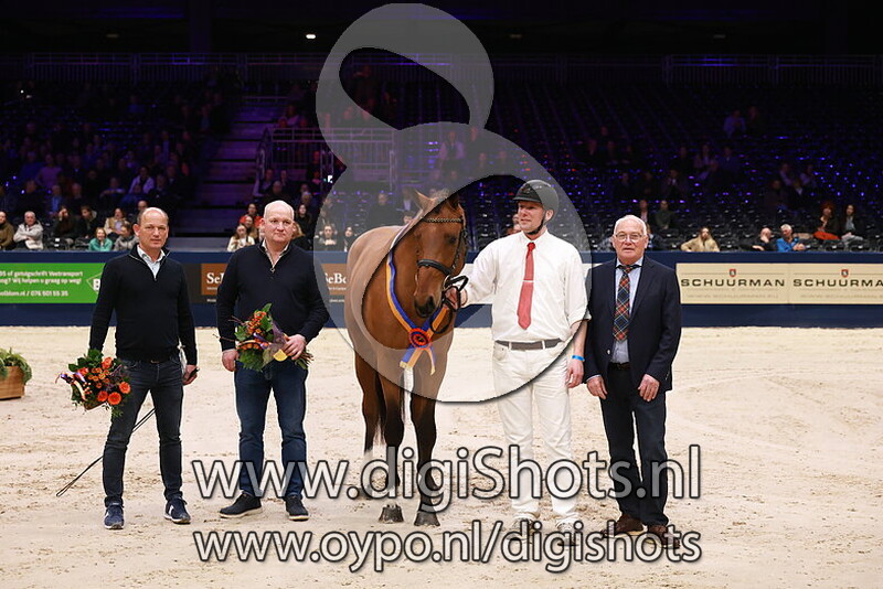 Celtic VDL v. Chatinue