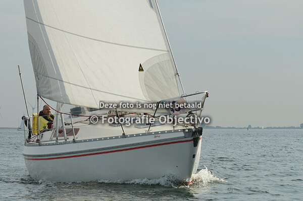 8 uren van de Oosterschelde 2025