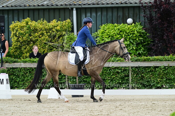 Bodil Bakker - Golden Queen