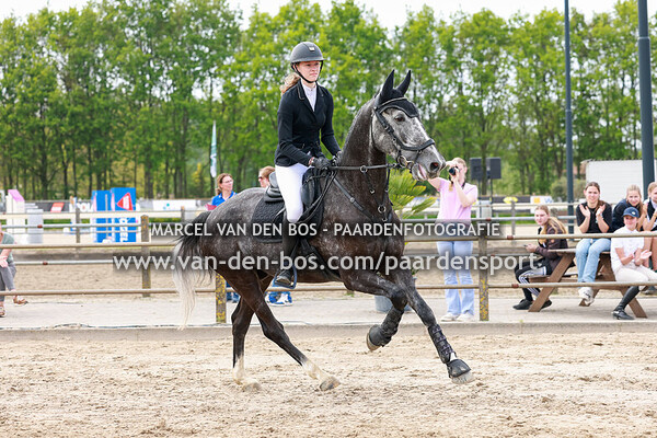 20240510-paard-90cm