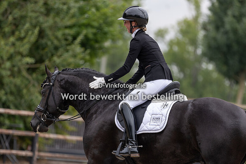 Isabelle Vroomans - Hummer