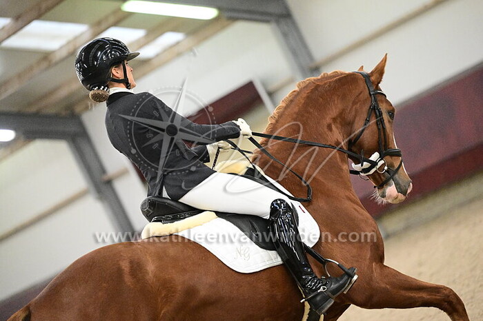 Noortje Geerts - Silvio