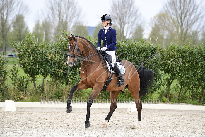 Lisan Katoen - Joyride