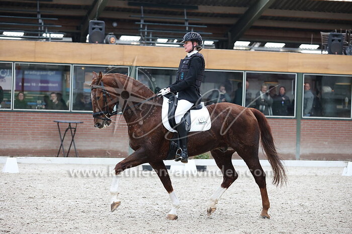 Manon van Woudenbergh - Diamant