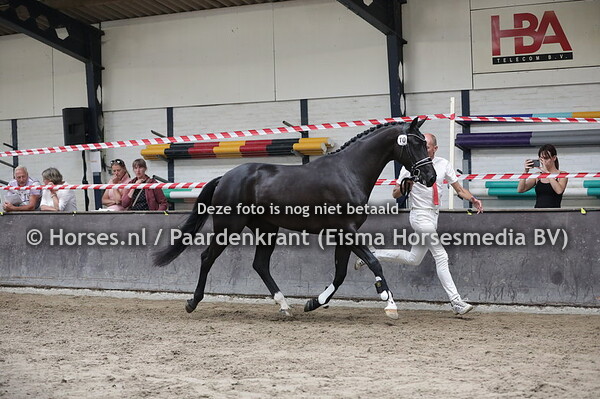 10 Melita (Glock's Toto jr x Evita v. Vivaldi)