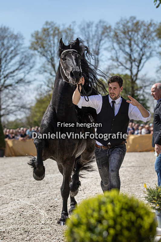 Hengstenshow Lunteren 18-04-2022 Auwert 514