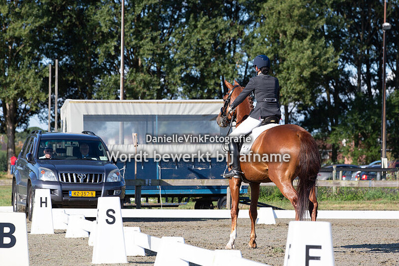 Susan Bunnik - Gianinni