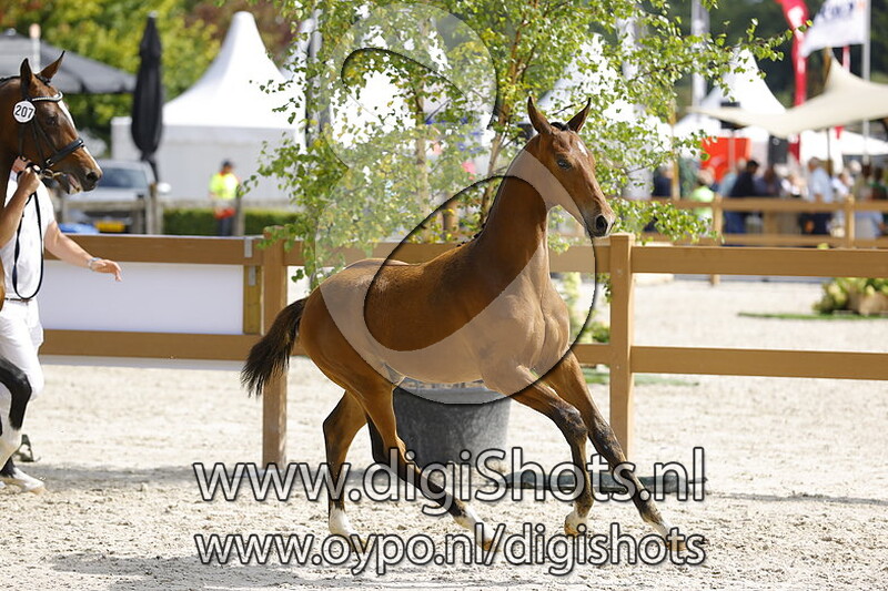 Total Extreme JT v. Extreme US