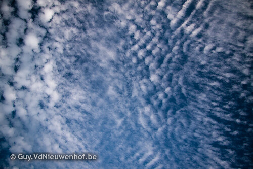 2011-04-08 Cirrocumulus