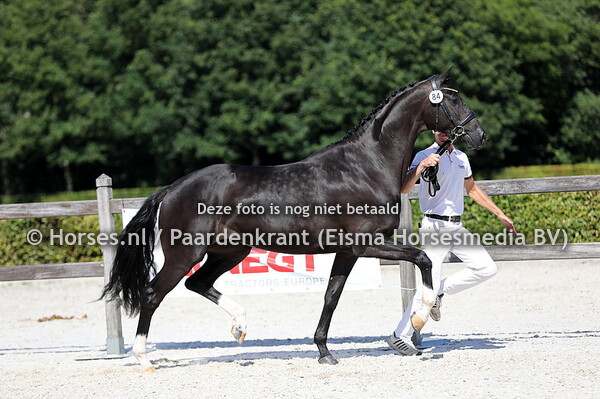 16-07-2022 CK Gelderland KWPN