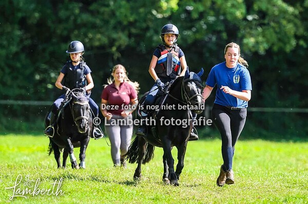 Boscross Bixie& Hobbyhorse