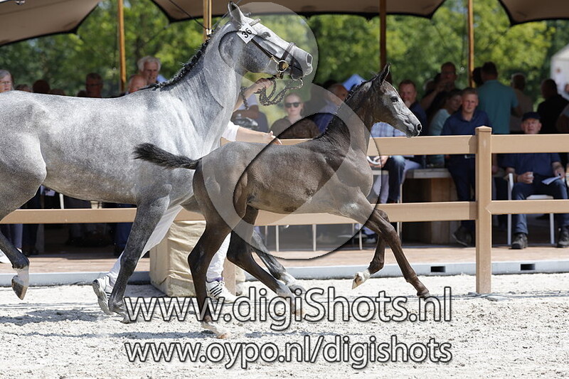 Terry-Lynn AK v. Emir R