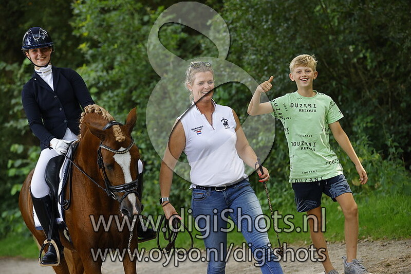 Ring 6 Z2 cat DE Kur