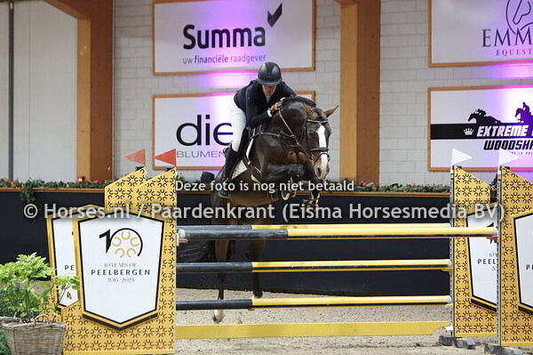 Pinacolada van Seldsum (v. Dominator Z) Joy Lammers