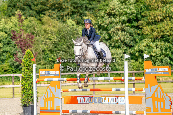 Flevoruiters 3de Selectie springen paard 135cm