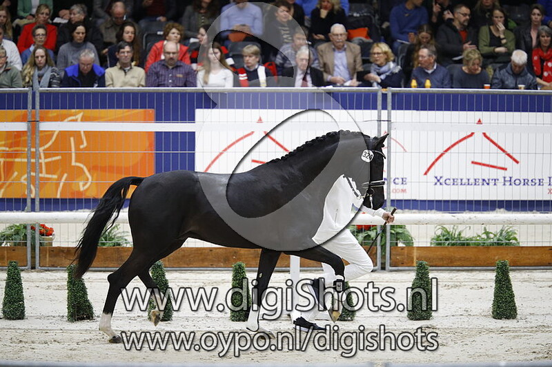 Leandro VL v. Charmeur