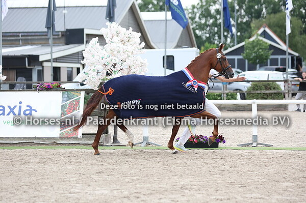 66 Passion (Kjento x Bylana v. Krack C)