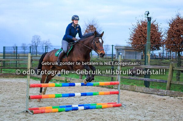 Paardensport 2023
