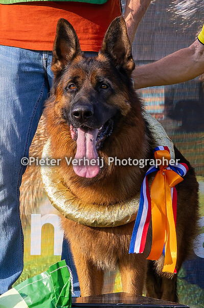 Gebruikshondenklasse Reuen