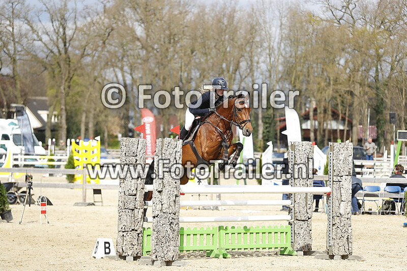 anke marije de vries