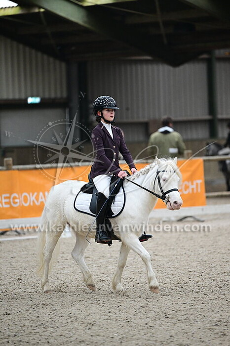 Liza van Doorenmalen - Goldie