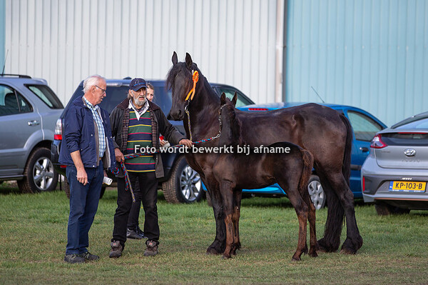 06. Milan van den Boezem