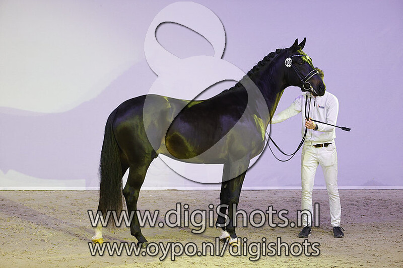 New Market v. Foundation