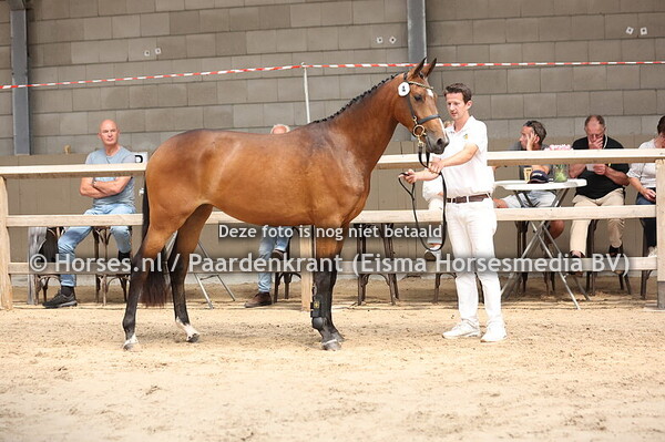 4 Sini W (Lambada Shake x Coco Nini W v.Comme le Pere)