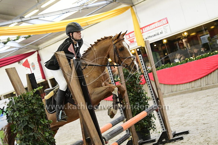 Yannick Vreeswijk - KSH Orchid's Majestic