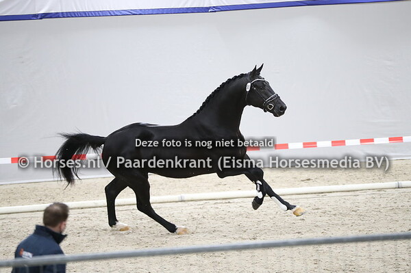 551 Nightfall-Utopia