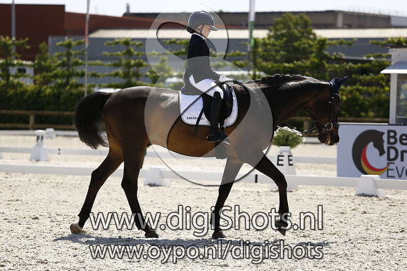 Erpedo vd Performing Stables