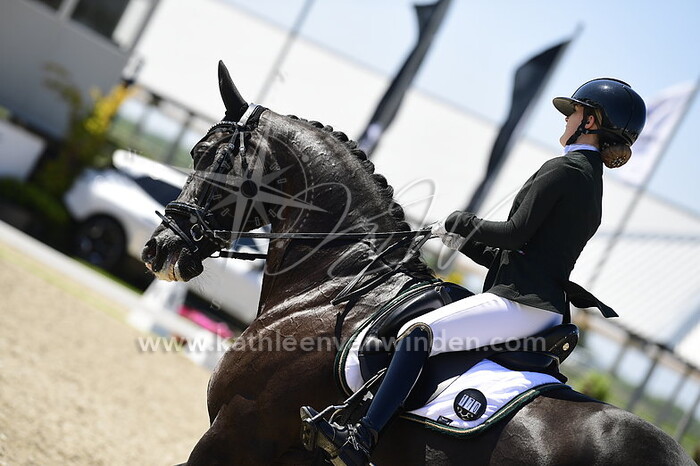 Estelle Middelkoop - Guapo