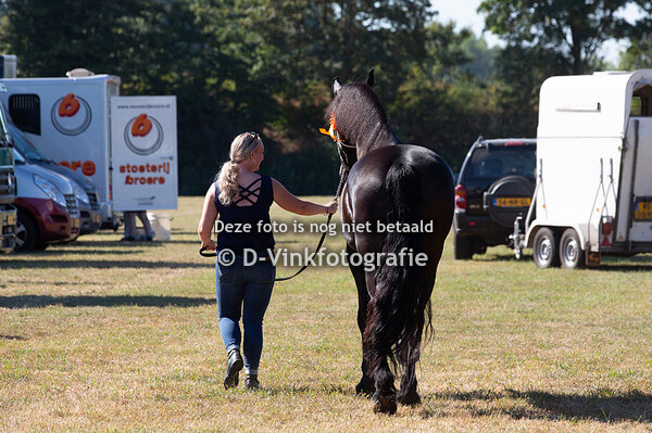 100. Zilverschoon van Zomerstaete