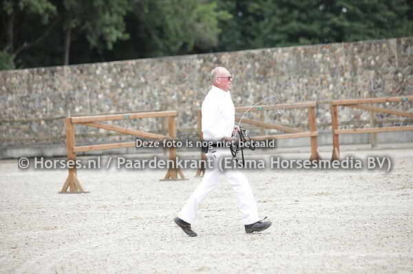 182 Senta (Lambada Shake x Wolavsca v. Kreator xx)