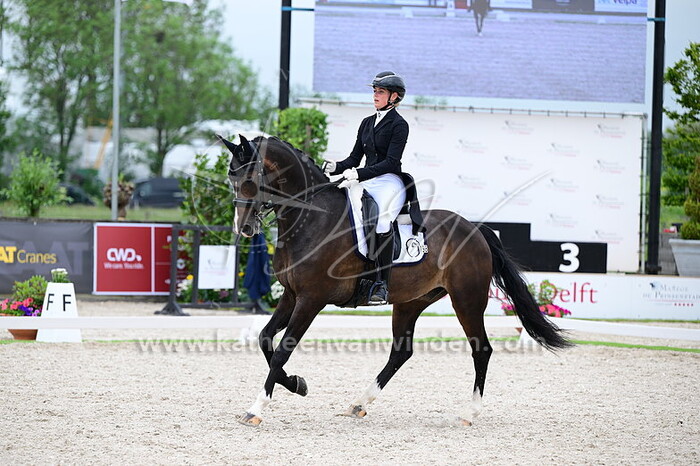 Kris de Vies - Lexington