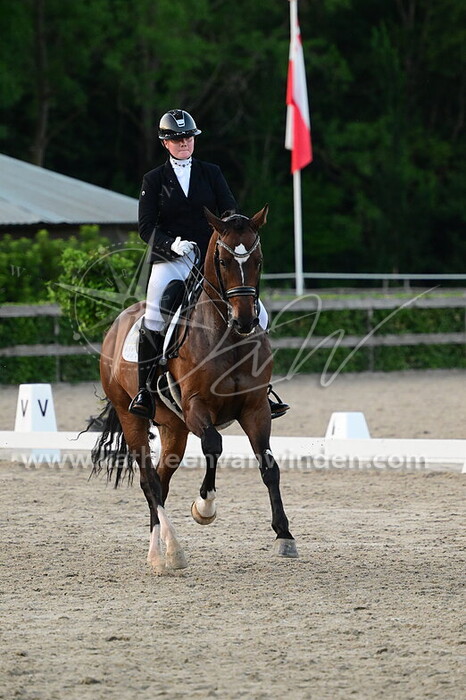 Toesja van Veen - My 7th Sunday