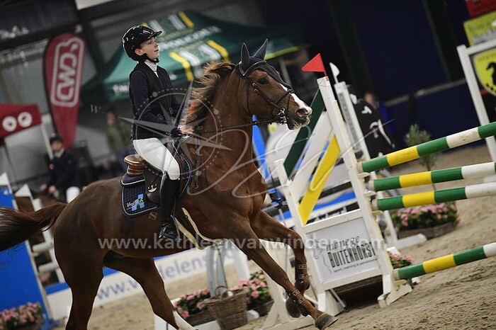 Mare Vrolijk - Voshoeve's Jazz de Revel K