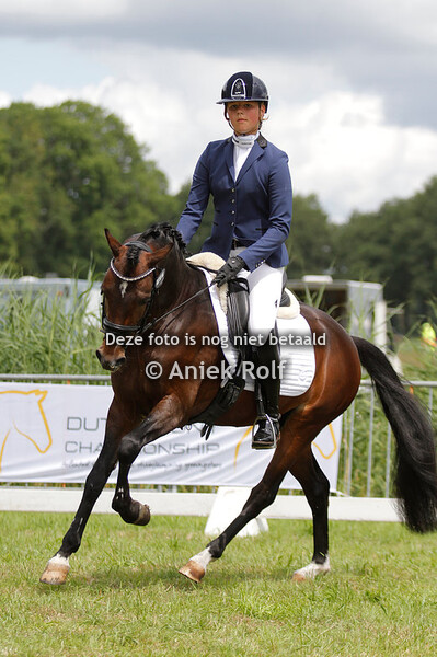 Dutch Pony Championship - Schoonebeek