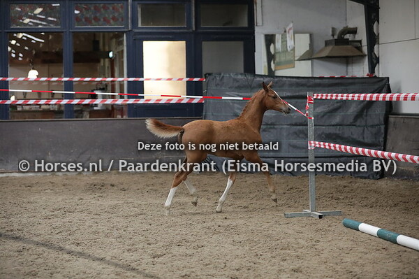 35 Love-Ability (Znik x Saffier v. Havidoff)