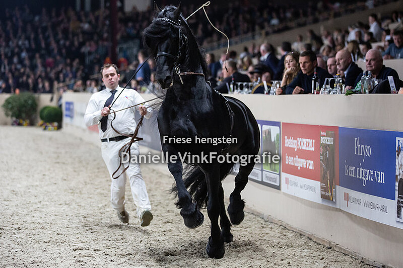 Hengstenkeuring 2020 Tsjalle 454
