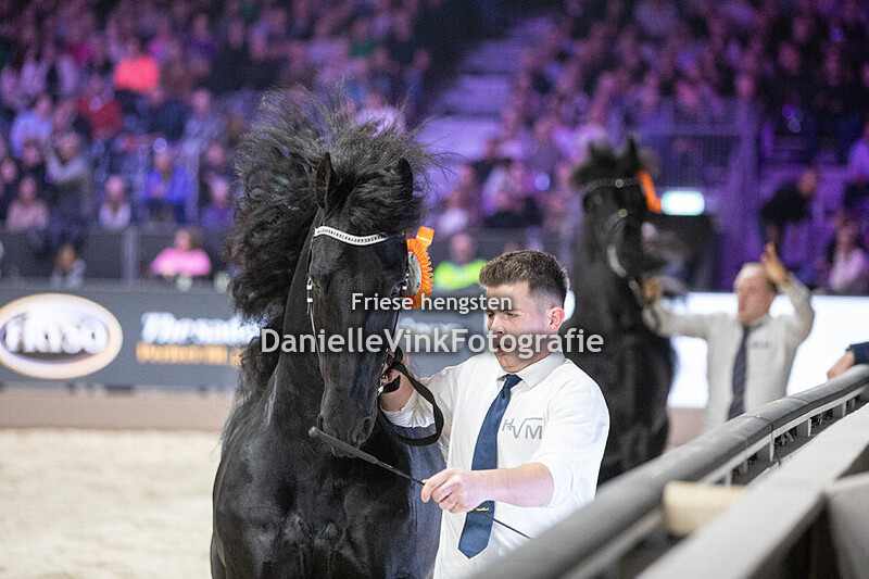 Hengstenkeuring 2025 Fryso 518